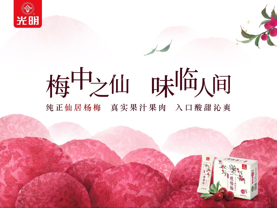 E:年度策略公司\2020-2021奥美 - jxf吉祥坊主品牌方案作业\新品KV一枝杨梅\杨梅横版KV.jpg